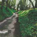 Shadow Path Wild Garlic