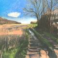 Shadow Paths SDW